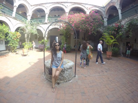 DCIM101GOPROGOPR1390.