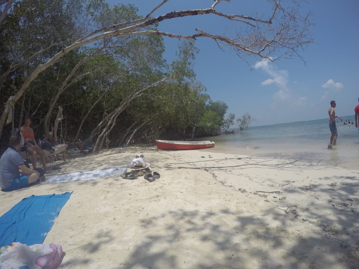 DCIM101GOPROGOPR1434.